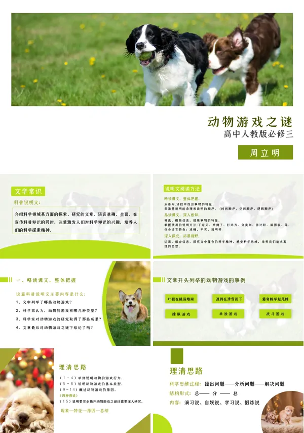 动物游戏之谜PPT优秀课件