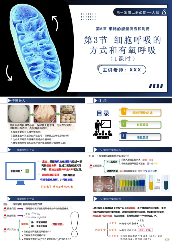 高一人教生物上册必修一5.3.1细胞呼吸的方式和有氧呼吸PPT课件含教案