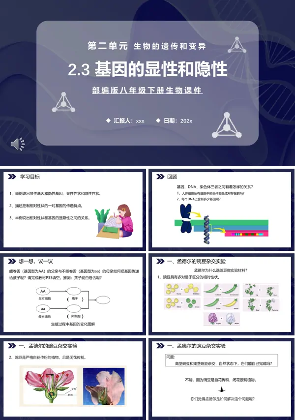 基因的显性和隐性课件PPT模板