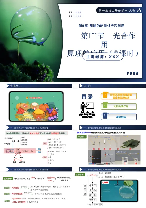 高一人教生物上册必修一5.4.3光合作用原理的应用PPT课件含教案