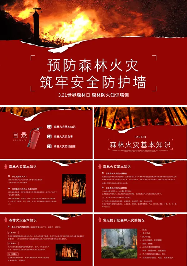 森林防火课件PPT世界森林日下载模板