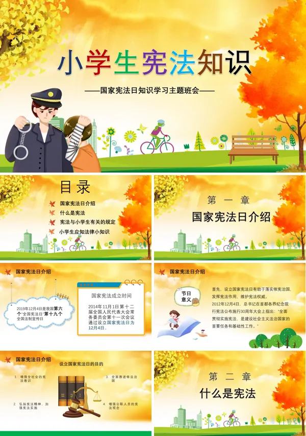 小学生宪法知识PPT