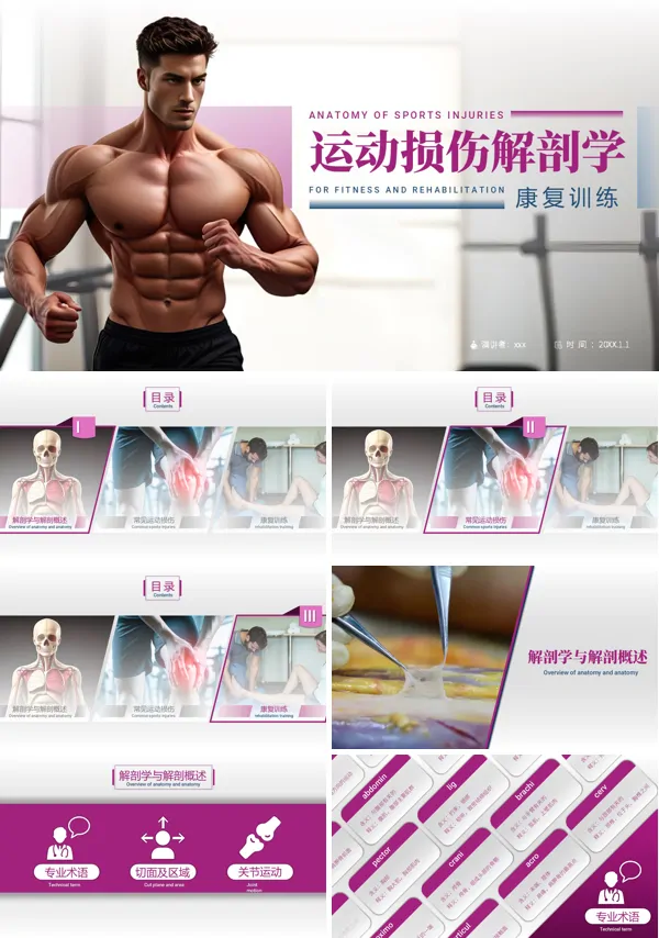 运动损伤解剖学康复训练PPT模板含讲稿