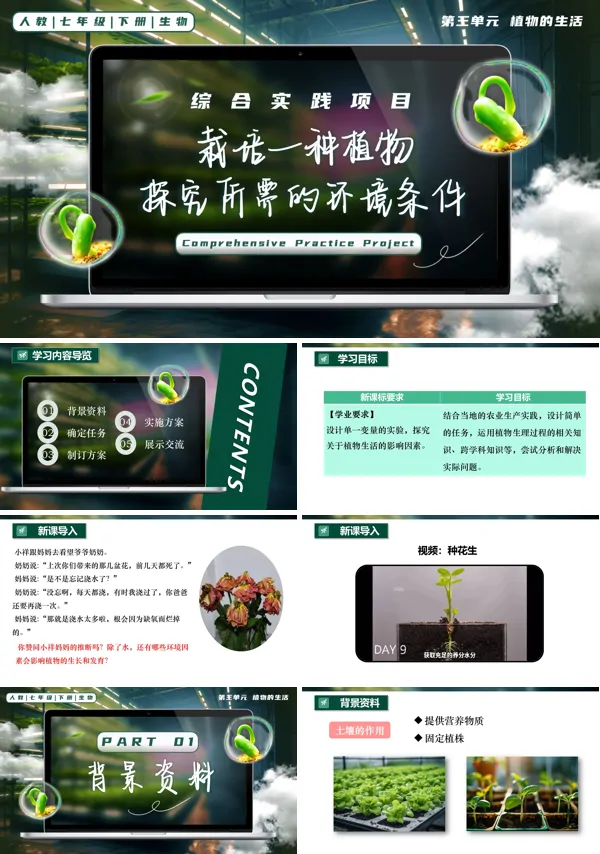 七年级生物下册第三单元综合实践项目 栽培一种植物，探究所需的环境条件PPT课件（教案+导学案+分层作业）