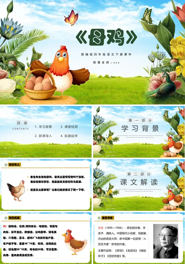 母鸡ppt课件部编版下载模板