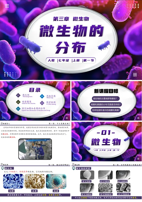 生物人教七年级生物上册微生物的分布PPT课件含教案