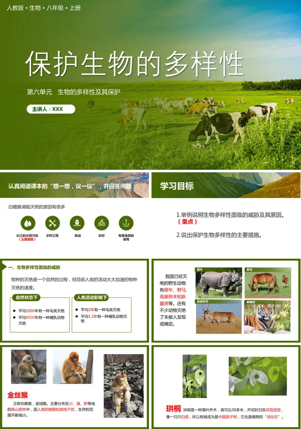 八年级上册生物《保护生物的多样性》的PPT模板