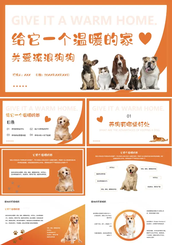 关爱流浪狗PPT
