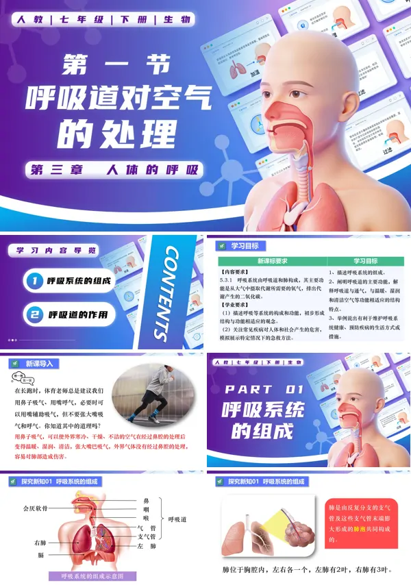 七年级生物下册第四单元4.3.1 呼吸道对空气的处理PPT课件（教案+导学案+分层作业）