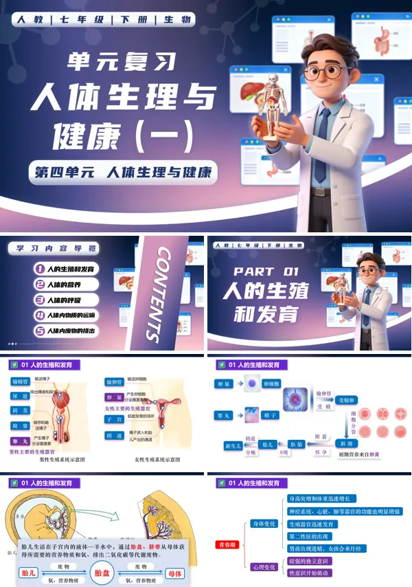 七年级生物下册第四单元第四单元 人体生理与健康（一）单元复习PPT课件（知识清单+单元测试卷）