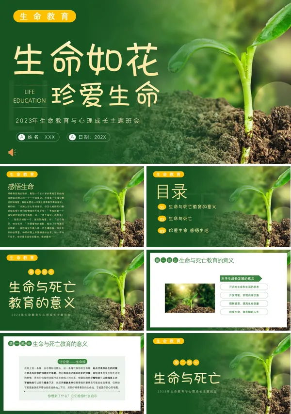 关爱生命主题班会PPT模板课件