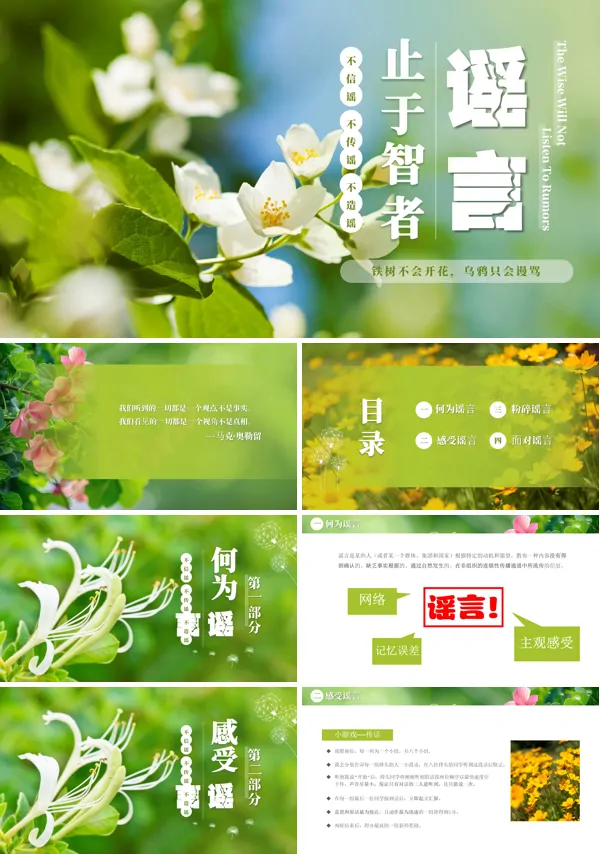 谣言止于智者不信谣不传谣不造谣PPT课件