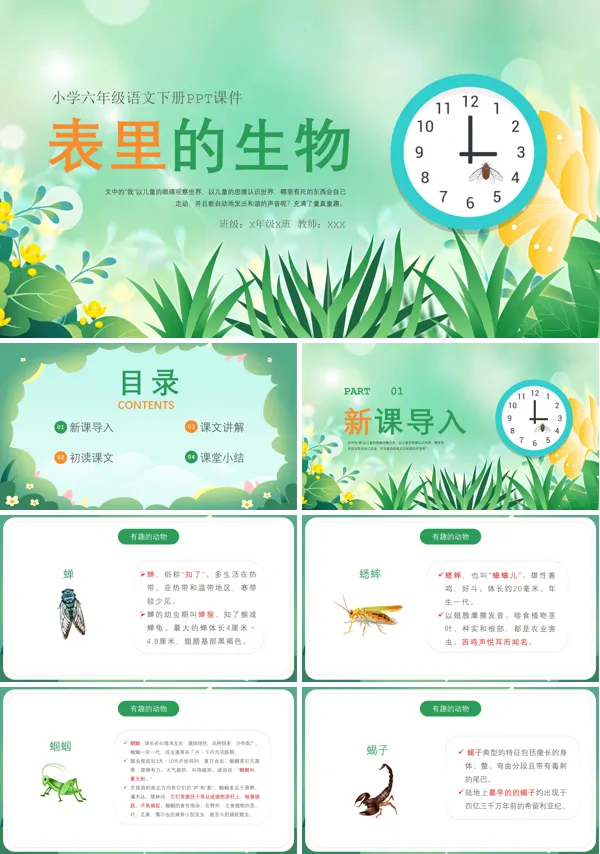 表里的生物课文ppt课件
