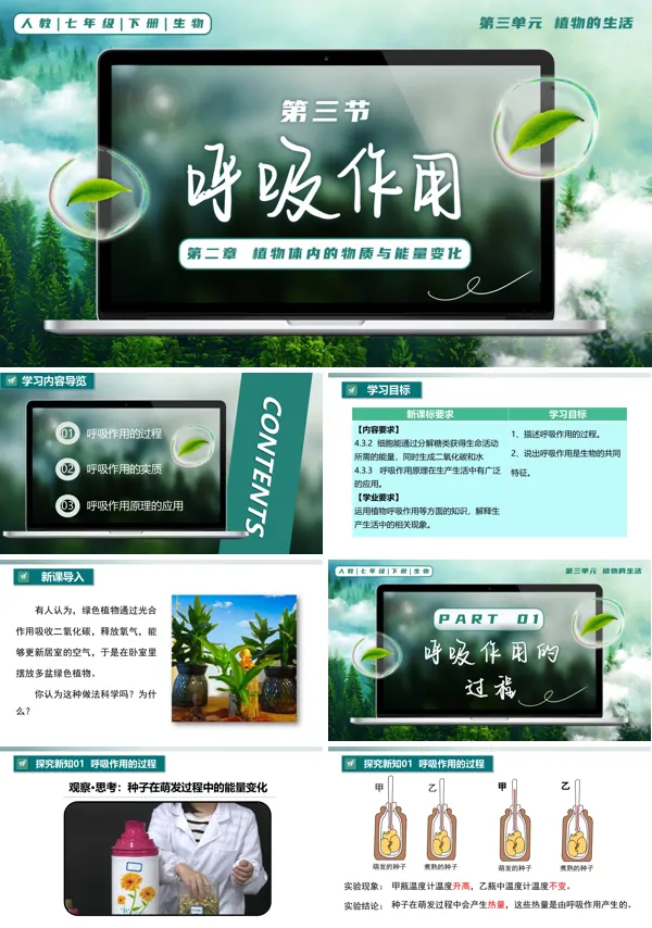 七年级生物下册第三单元3.2.3 呼吸作用PPT课件（教案+导学案+分层作业）