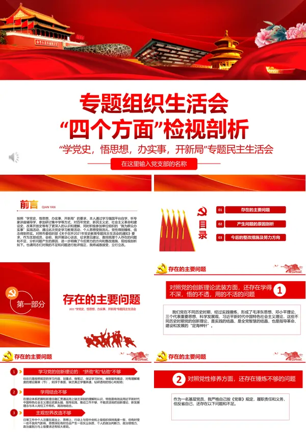 专题民主检视问题原因剖析PPT