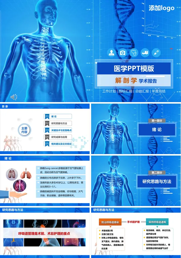 解剖学学术报告PPT模板