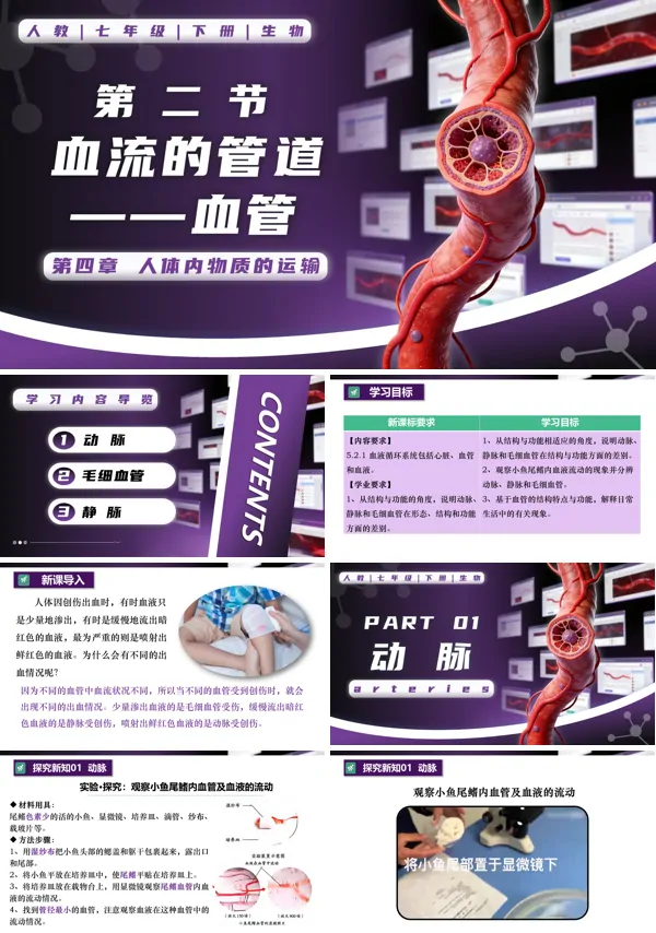 七年级生物下册第四单元4.4.2 血流的管道——血管PPT课件（教案+导学案+分层作业）