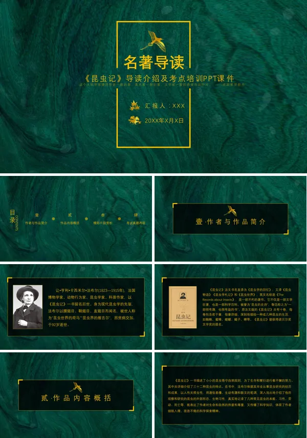 初中语文《昆虫记》PPT教学课件