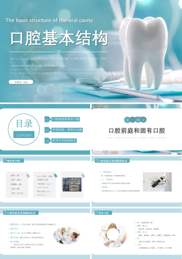 口腔基本结构PPT课件免费下载