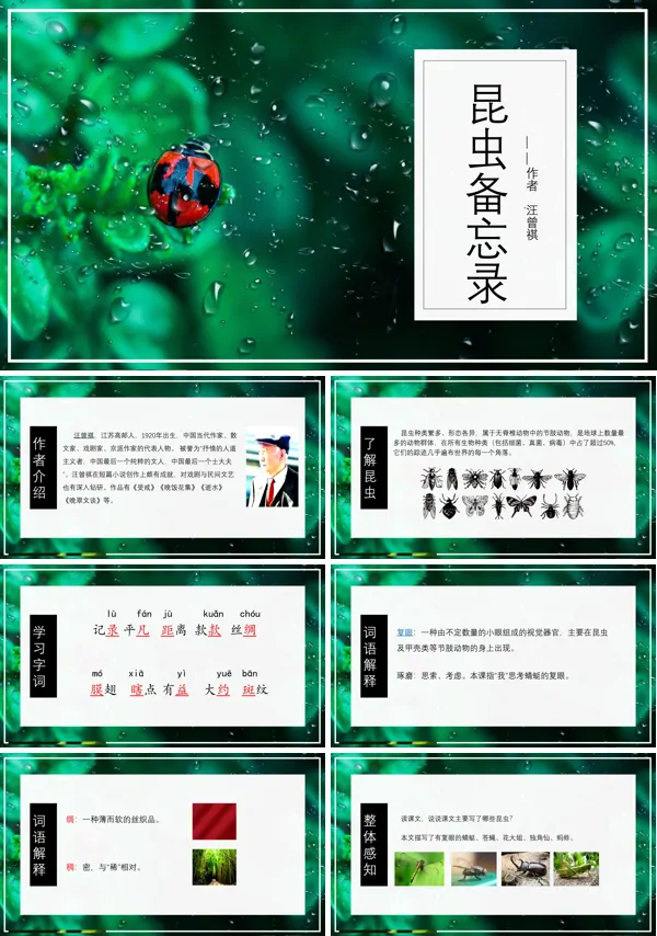 人教版三年级《昆虫备忘录》PPT课件