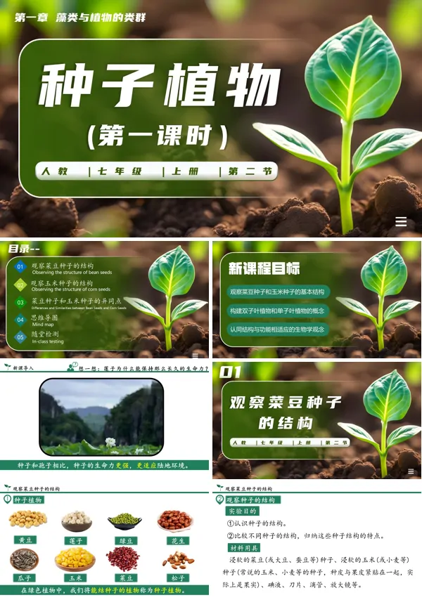生物人教七年级生物上册种子植物第一课时PPT课件含教案