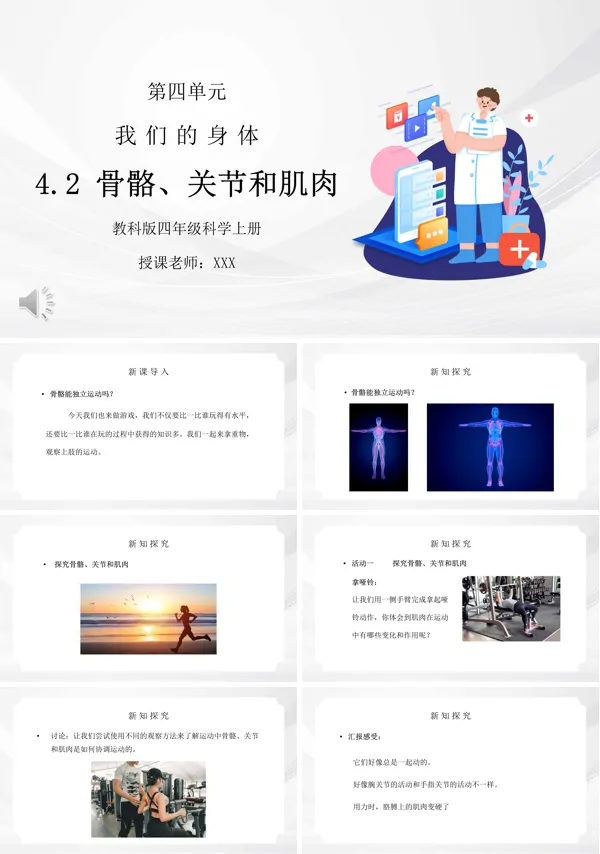 骨骼关节和肌肉PPT课件