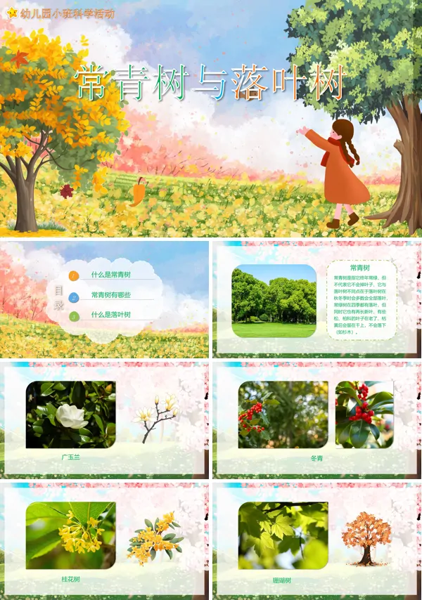 幼儿园《常青树与落叶树》科学教育教学PPT课件