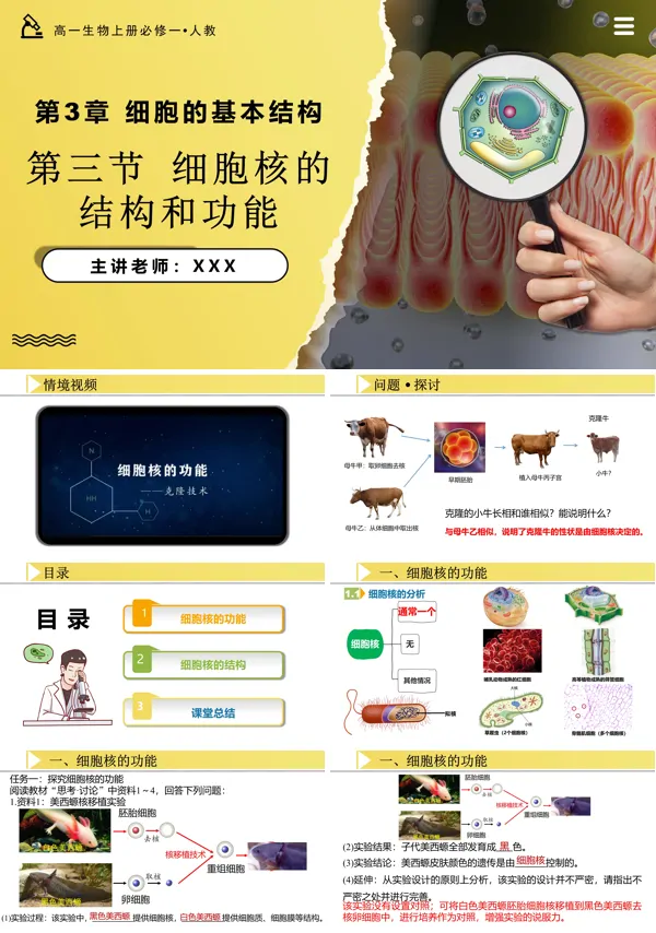 高一人教生物上册必修一3.3细胞核的结构和功能PPT课件含教案
