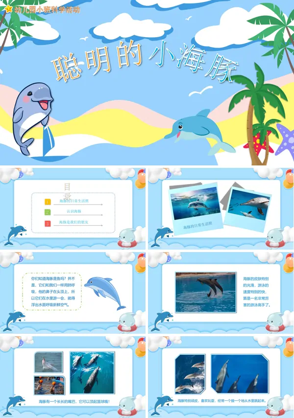 幼儿园《聪明的小海豚》科学教育教学PPT课件