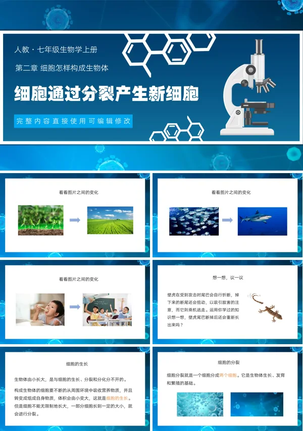 细胞通过分裂产生新细胞PPT课件