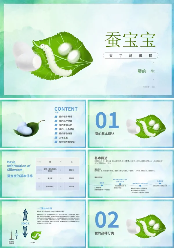 养殖蚕教程PPT课件模板