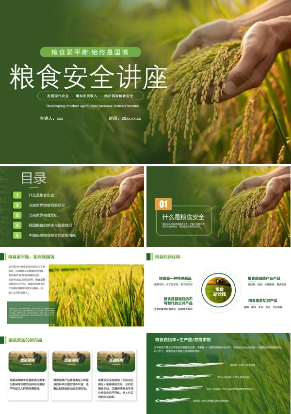粮食安全讲座PPT专题模板含讲稿