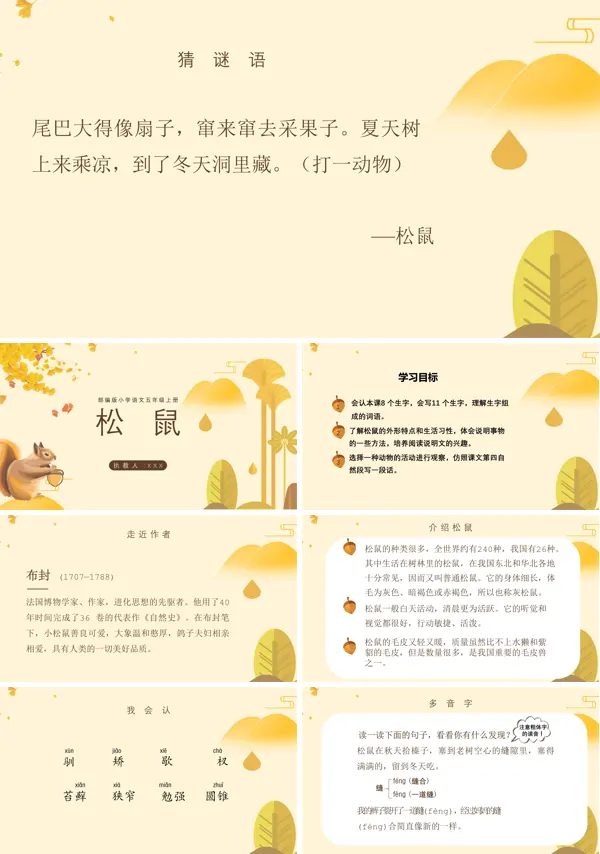 《松鼠》的教育教学课件PPT