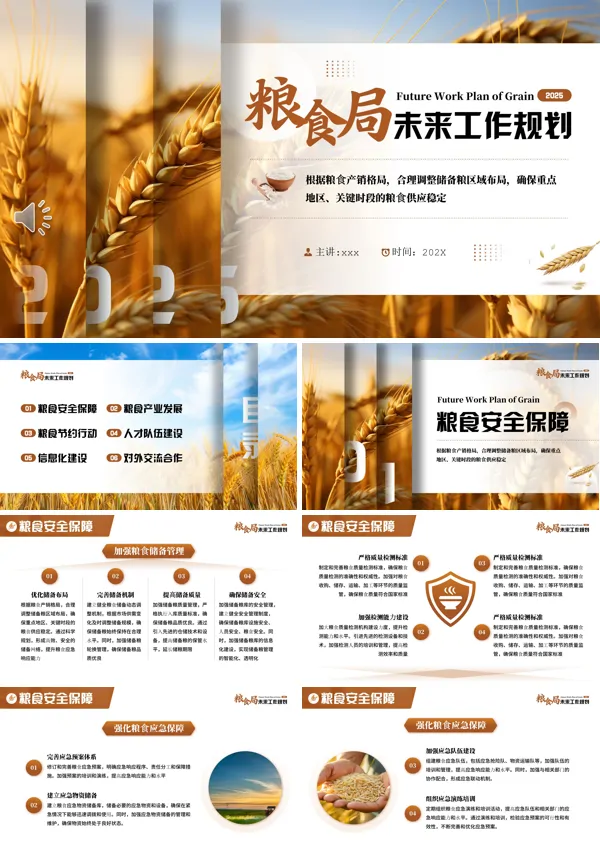粮食局工作规划计划PPT模板含讲稿