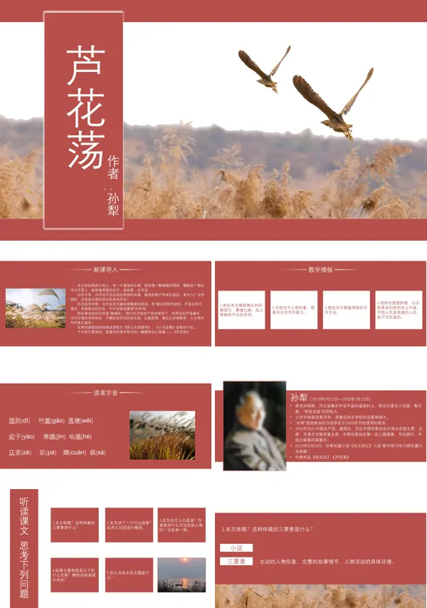 初中语文人教版八年级《芦花荡》PPT下载课件