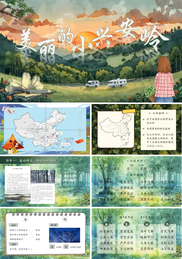 语文统编三年级上册美丽的小兴安岭PPT课件含教案
