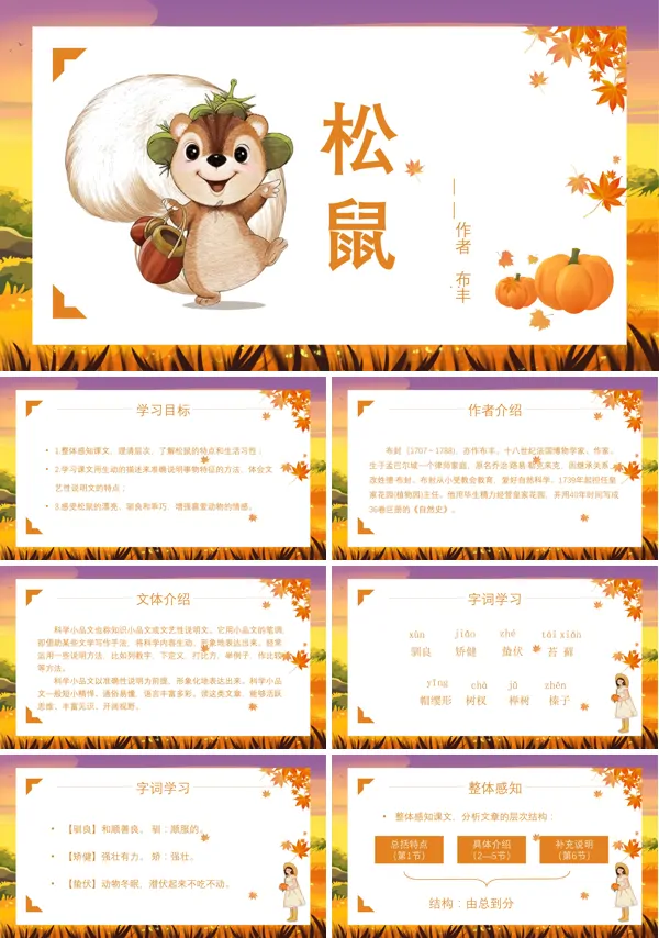 人教版五年级语文上册《松鼠》ppt课件