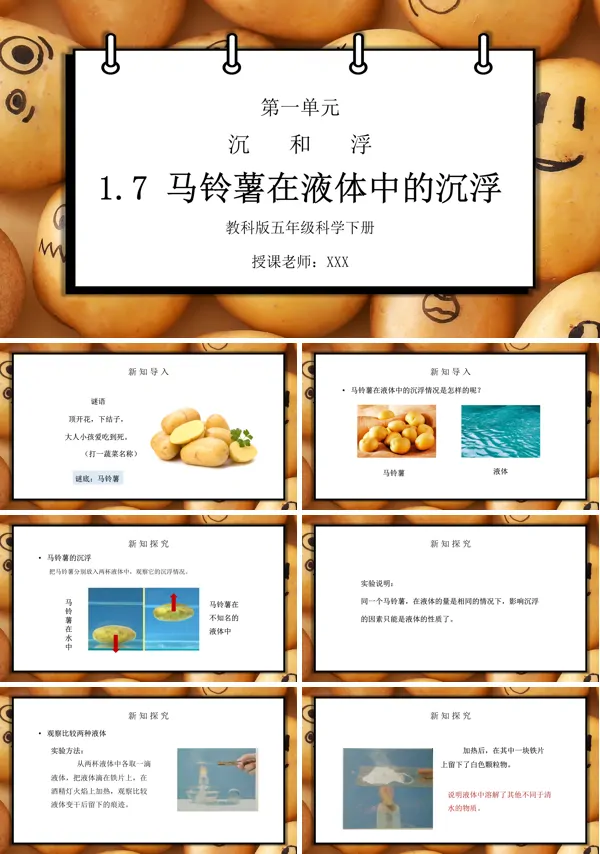 《沉和浮-马铃薯在液体中的沉浮》PPT课件