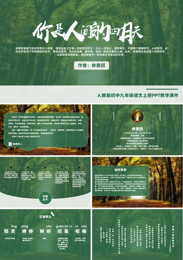 初中语文人教版九年级林徽因你是人间的四月天PPT教学课件