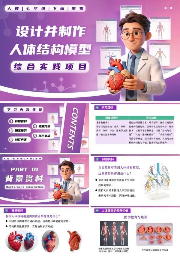 七年级生物下册第四单元综合实践项目 设计并制作人体结构模型PPT课件（教案+导学案+分层作业）