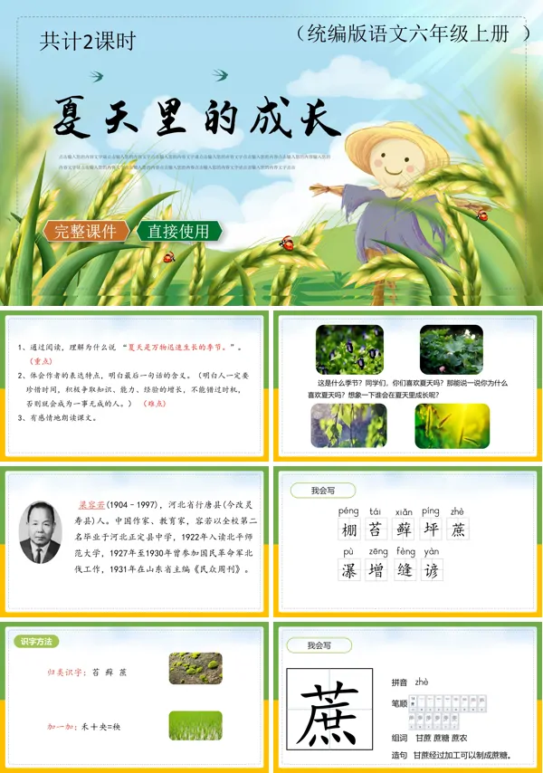 夏天里的成长ppt课件完美版