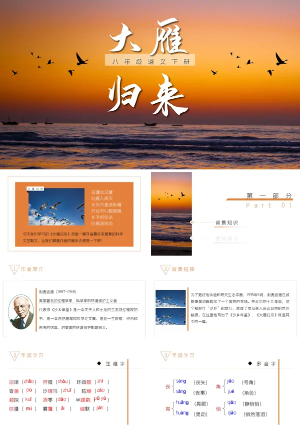 大雁归来ppt课件优秀