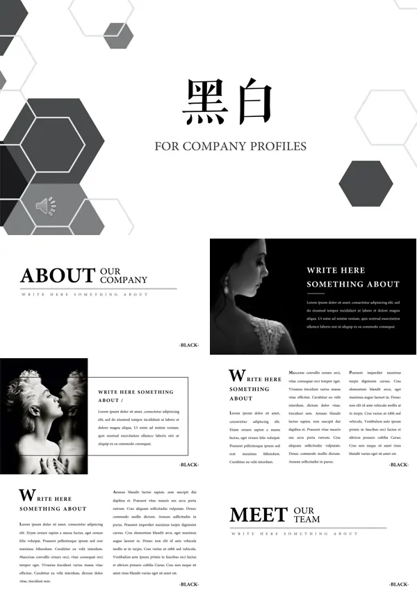 简约黑白风格公司介绍PPT
