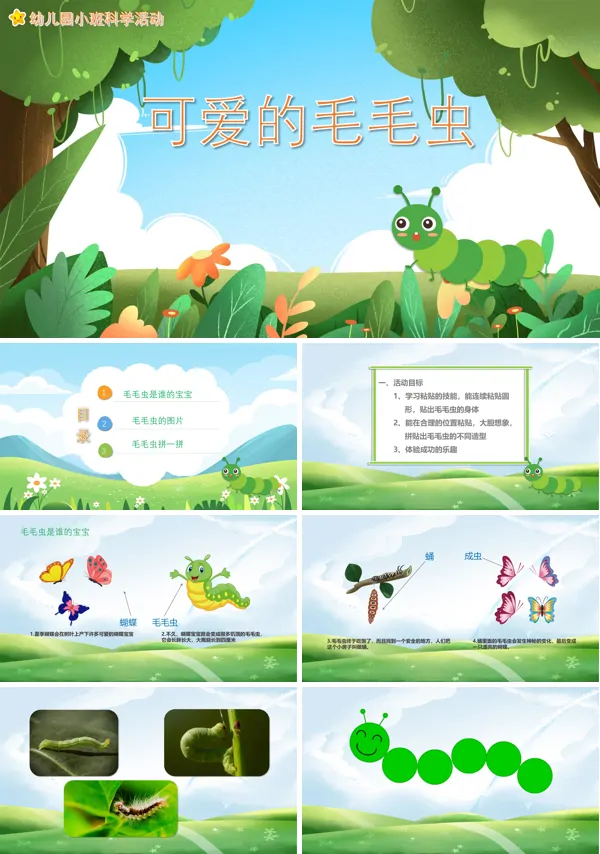可爱的毛毛虫教案模板PPT课件