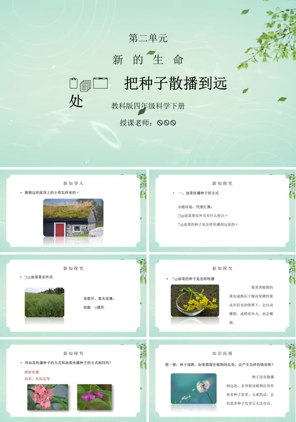 《把种子散播到远处》新的生命PPT课件