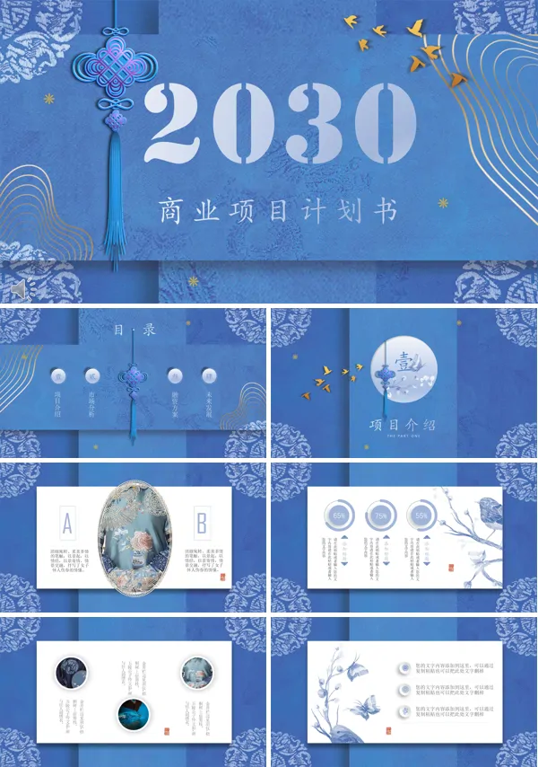 竖版风商业项目计划书PPT模板