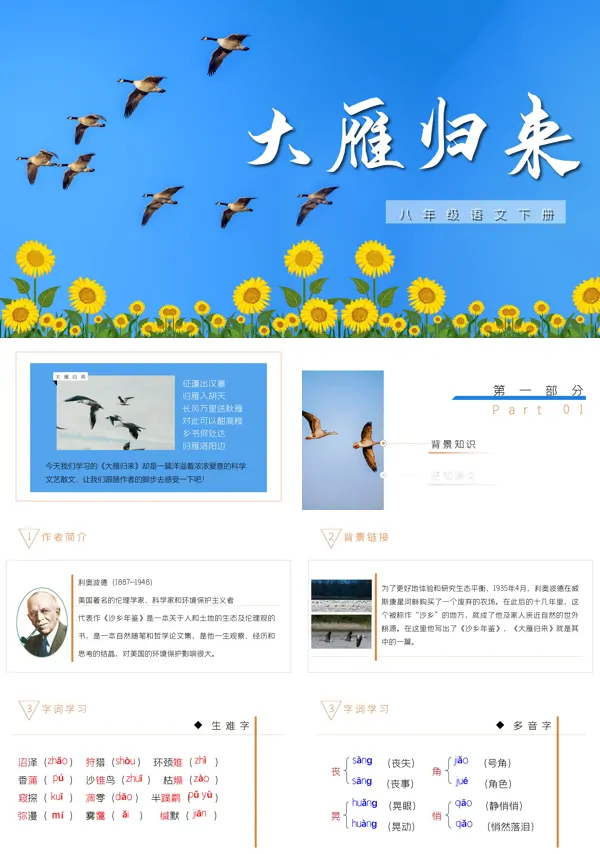 大雁归来PPT课件下载模板