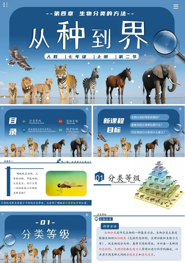 生物人教七年级生物上册从种到界PPT课件含教案
