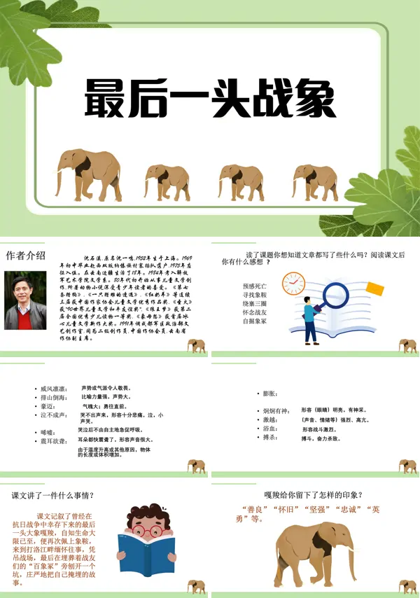 《最后一头战象》PPT课件