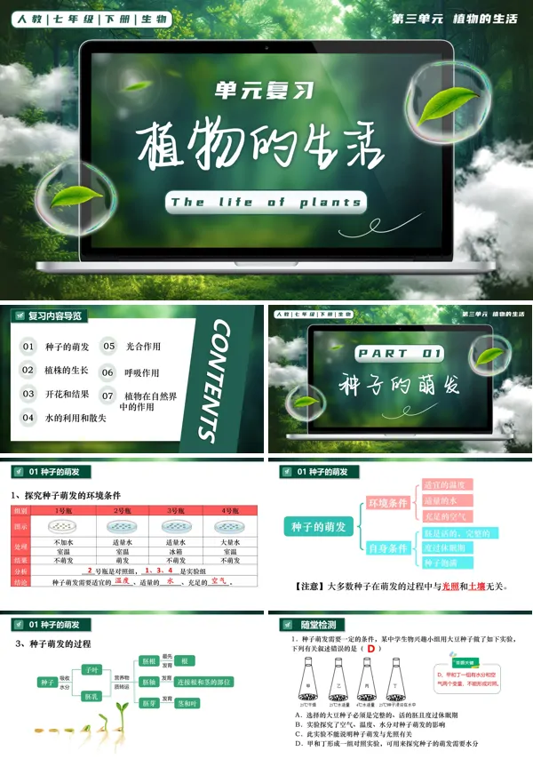 七年级生物下册第三单元第三单元 植物的生活单元复习PPT课件（知识清单+单元测试卷）